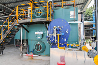 120万大卡燃气导热油锅炉（B级）价格解析与选购指南